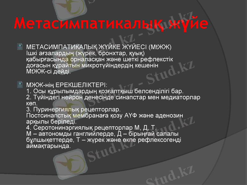 Slide 13