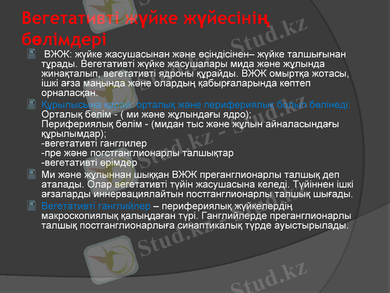 Slide 6