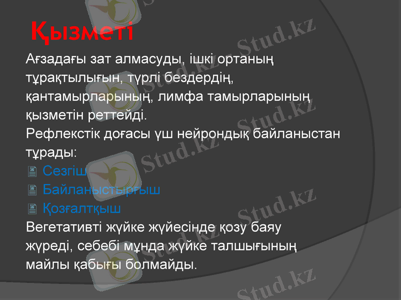 Slide 7