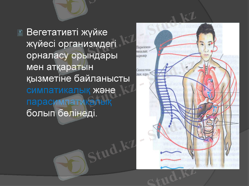 Slide 8