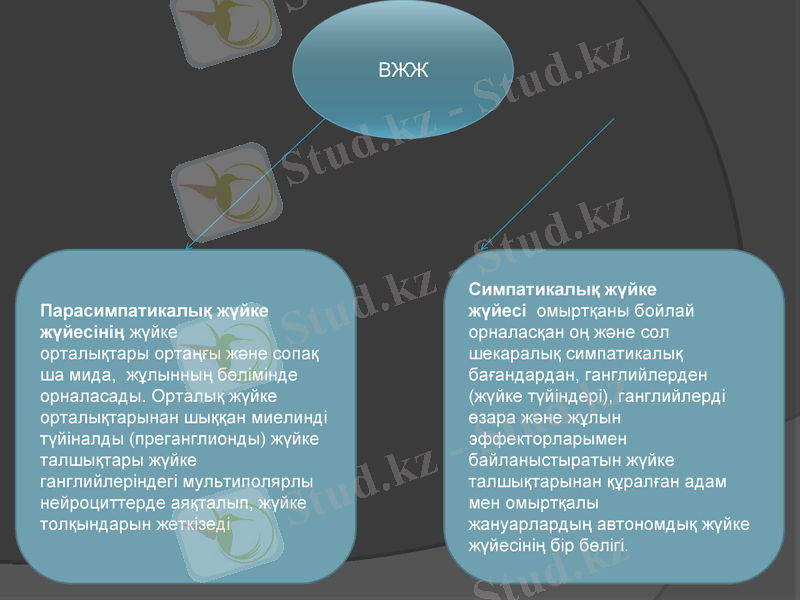 Slide 9