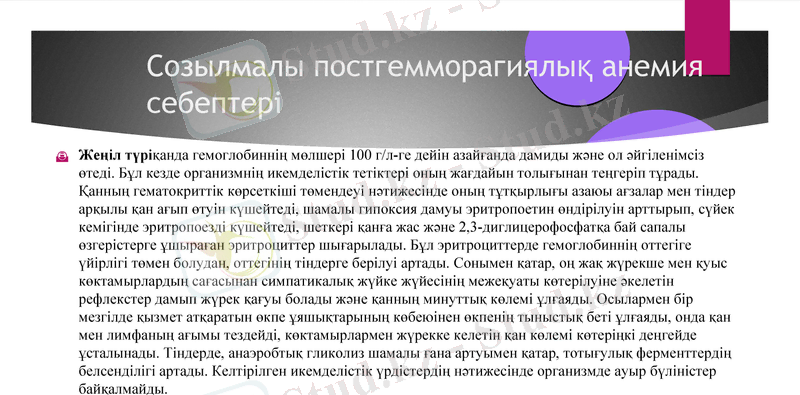 Slide 13