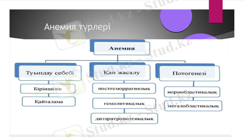 Slide 7