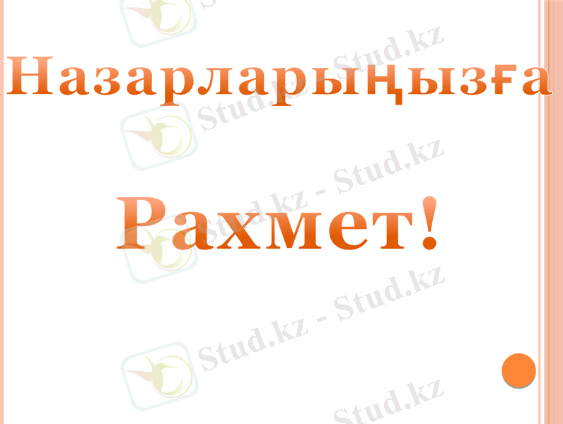 Slide 11