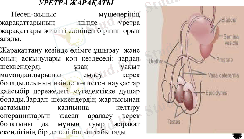 Slide 10