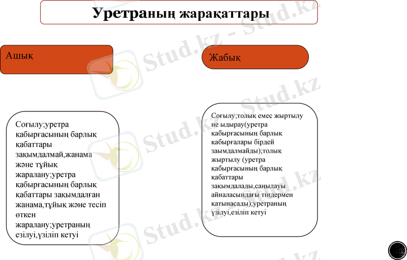 Slide 11