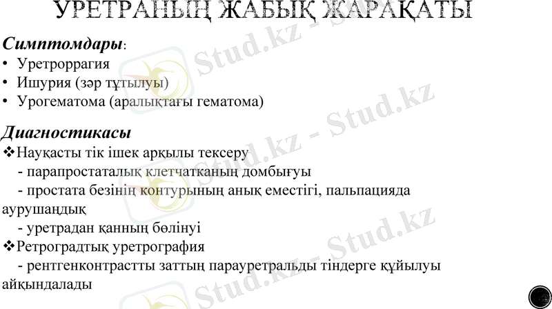 Slide 13