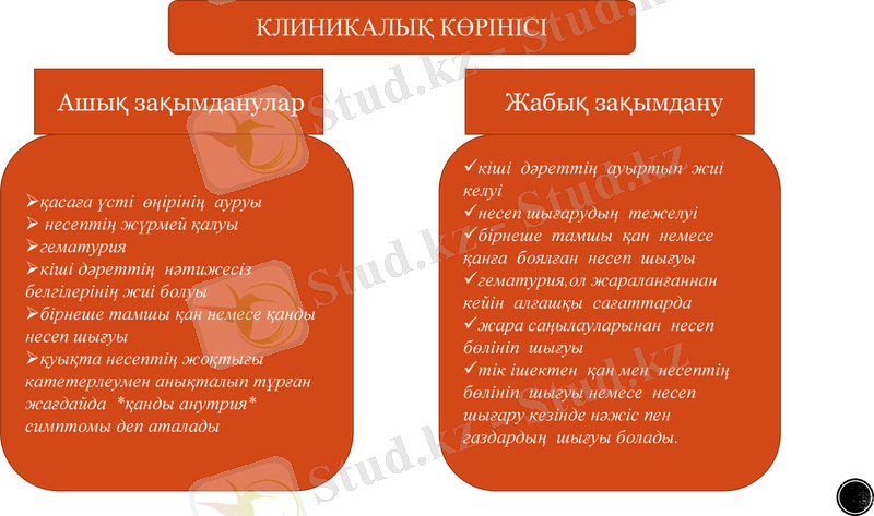 Slide 7