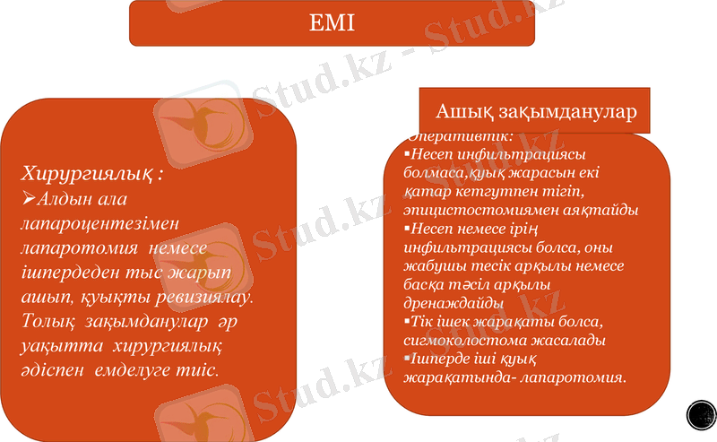 Slide 9