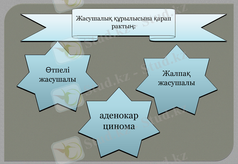 Slide 11