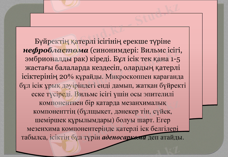Slide 9