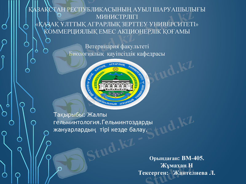 Slide 1