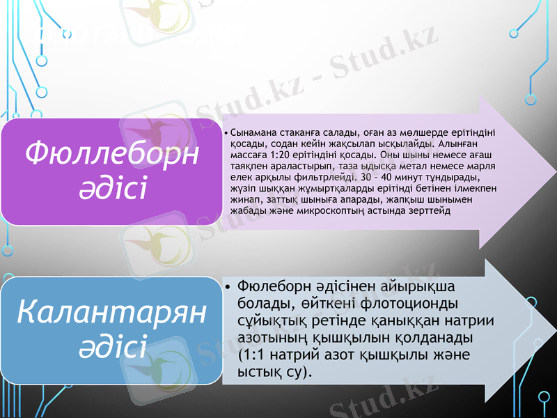 Slide 10
