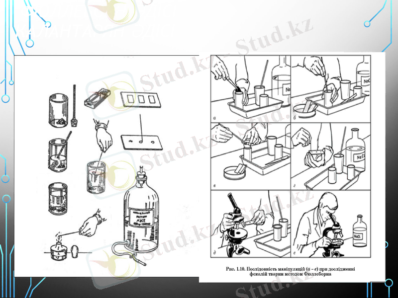 Slide 11