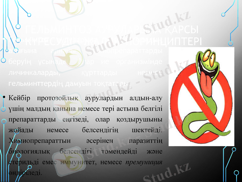 Slide 13