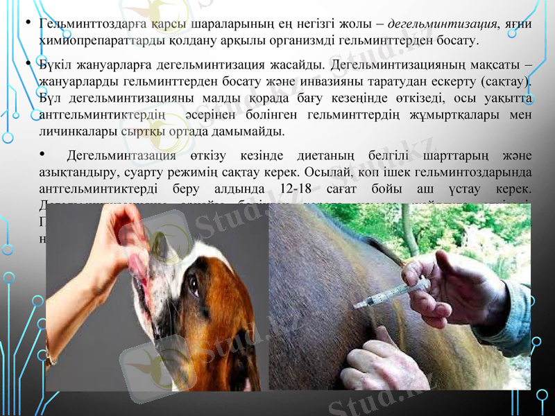 Slide 14