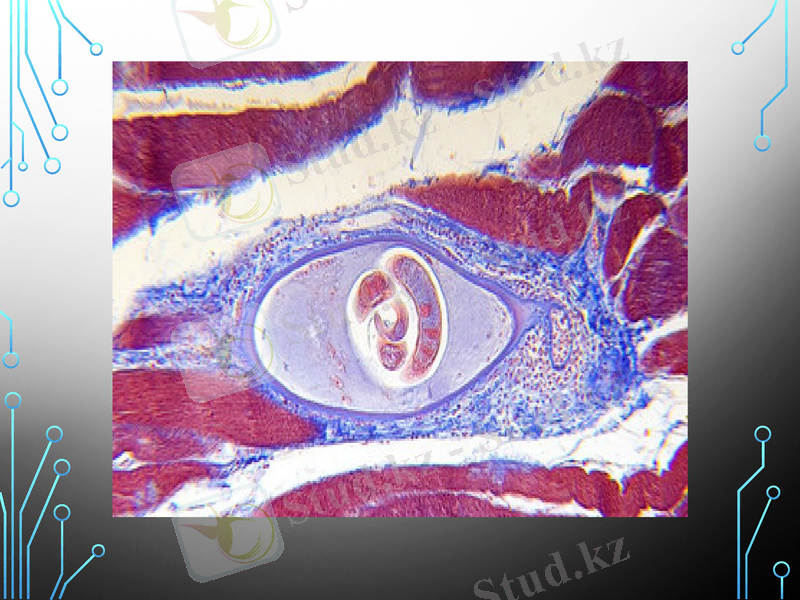 Slide 6
