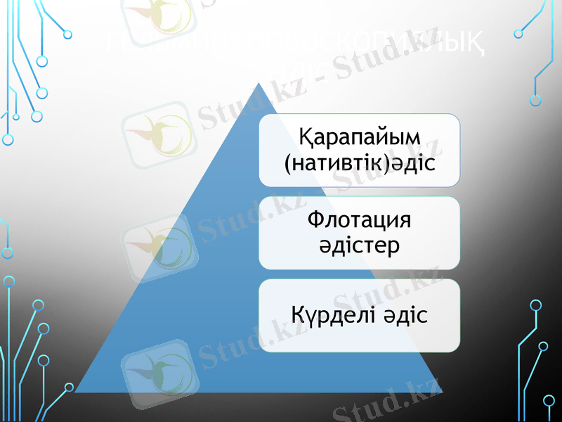 Slide 7