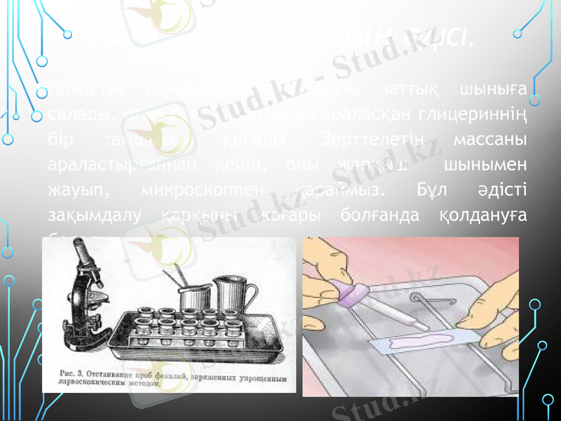Slide 8
