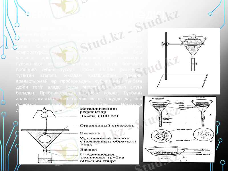 Slide 9