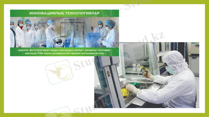 Slide 7