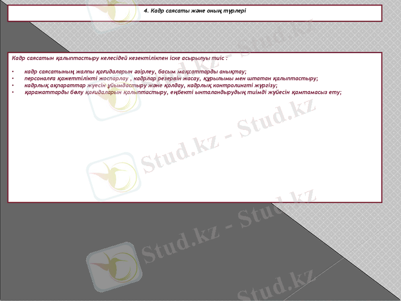 Slide 11