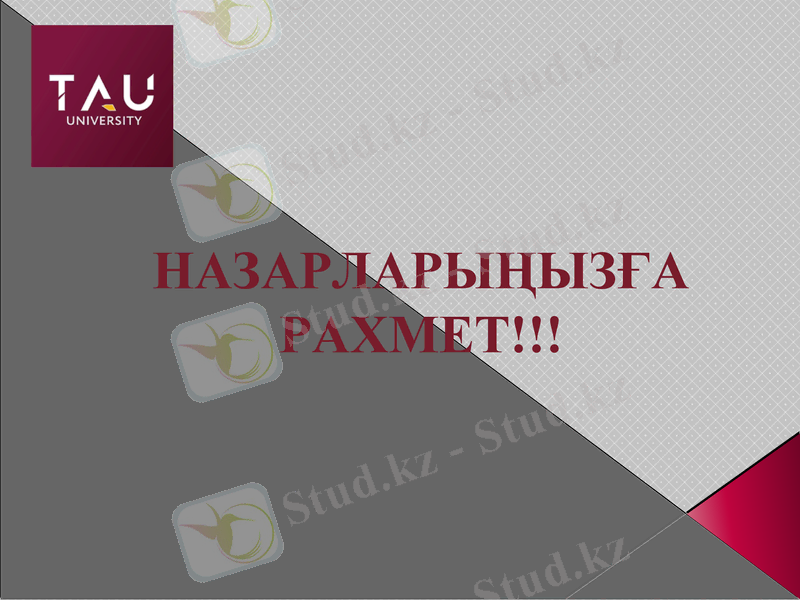 Slide 12