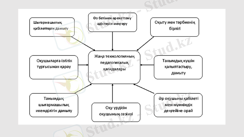Slide 8