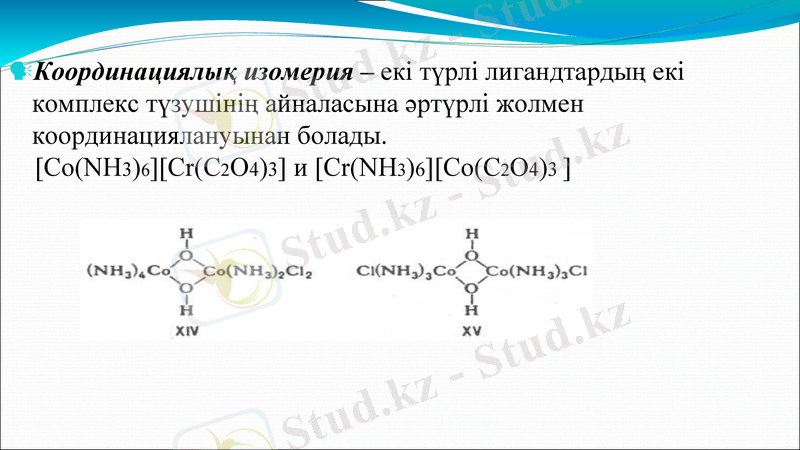 Slide 11