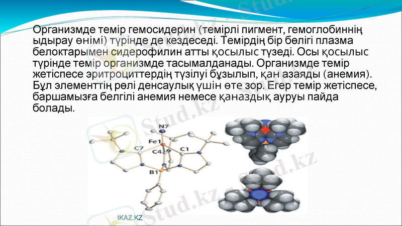 Slide 13