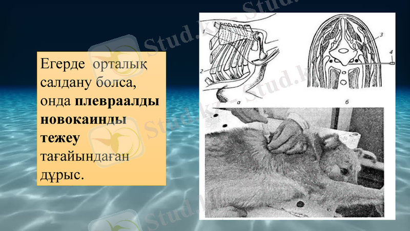 Slide 10