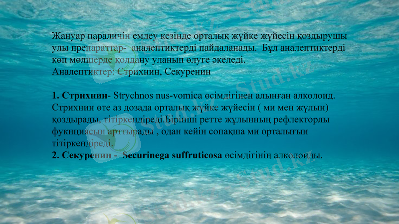 Slide 11
