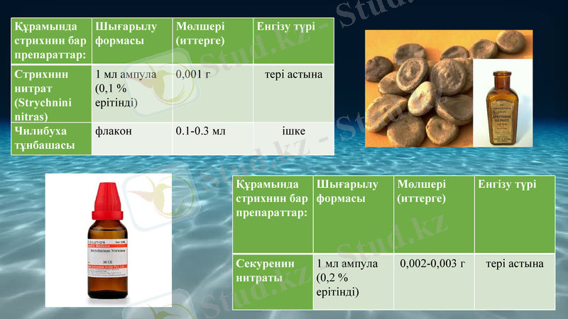 Slide 12