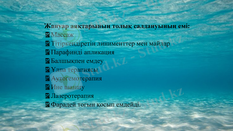 Slide 13