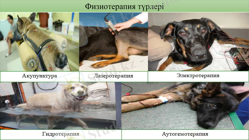 Slide 14