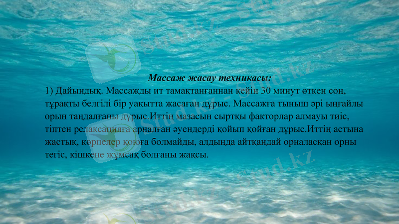 Slide 15