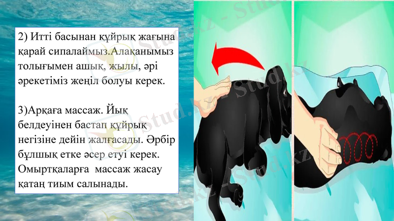 Slide 16