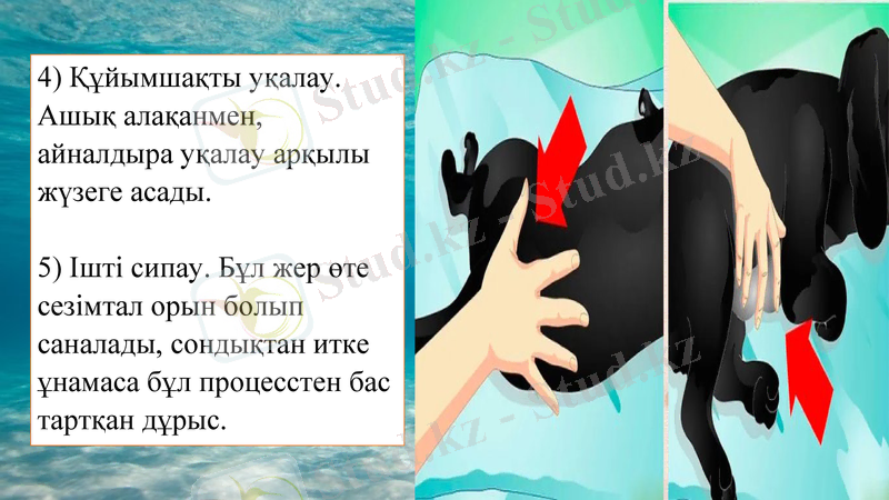 Slide 17