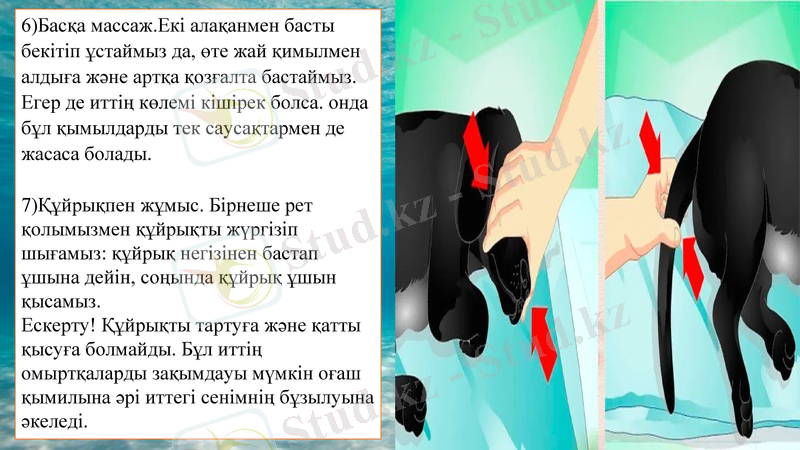 Slide 18