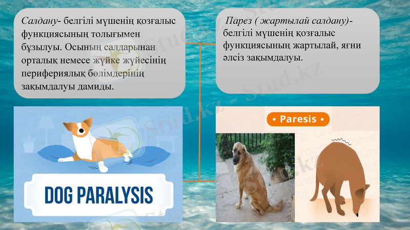 Slide 2