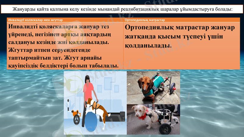 Slide 20