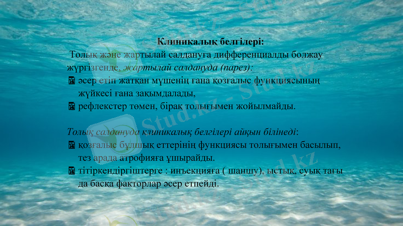 Slide 6