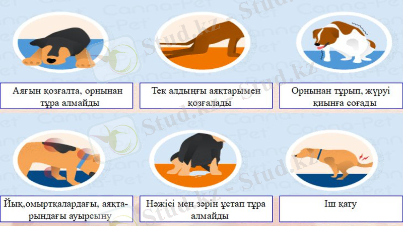 Slide 7
