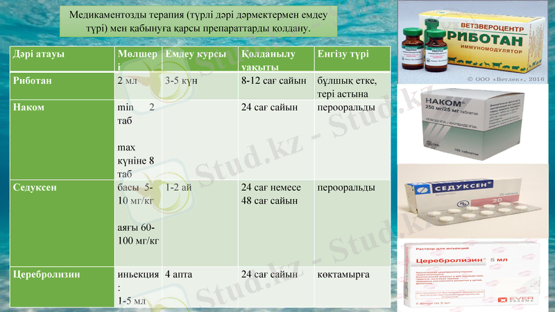 Slide 9