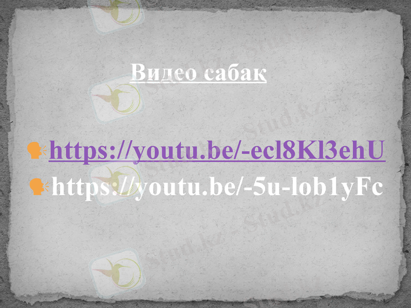Slide 11