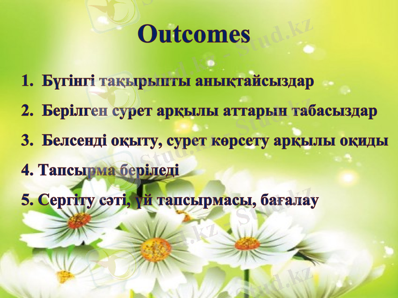 Slide 5