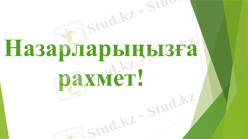Slide 12