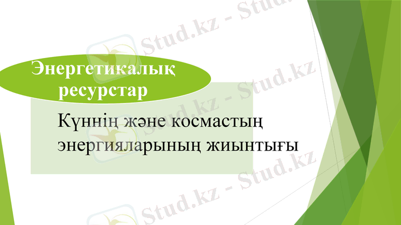 Slide 7