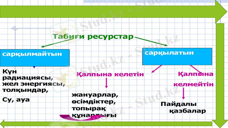 Slide 8