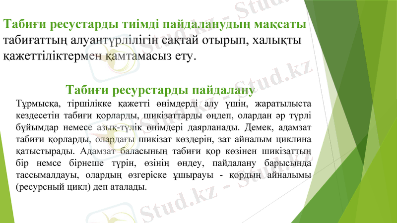 Slide 9